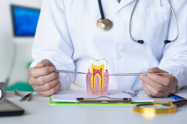 Best Emergency Wisdom Tooth Extraction in St James, MN